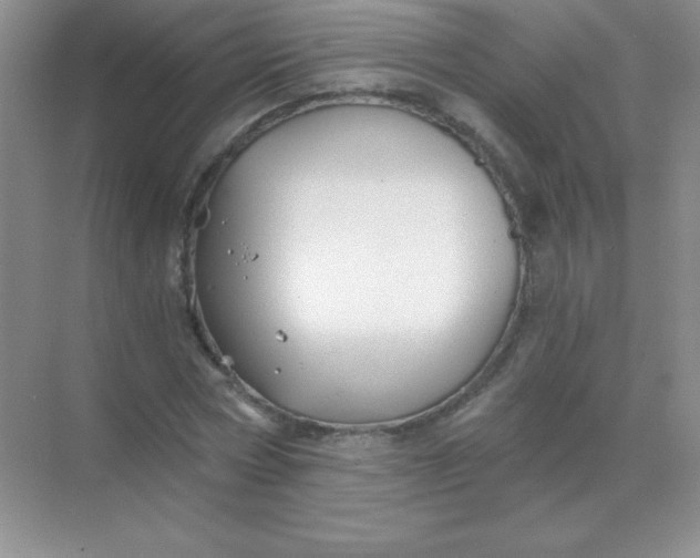 X0000068850778200605191950