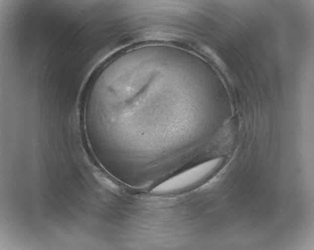 X0000068850779200605191950