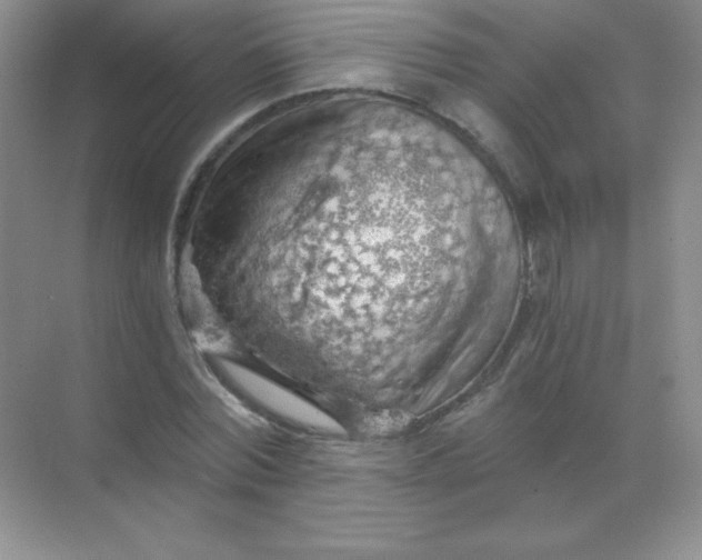 X0000068850780200605191950