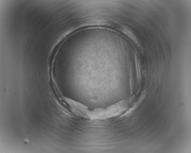 X0000068850781200605191950