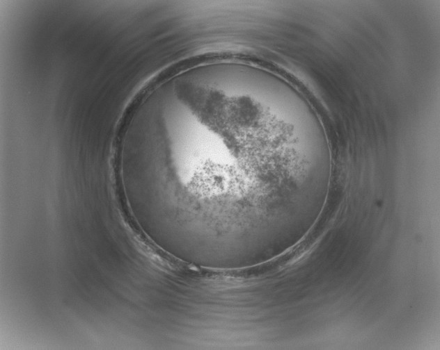 X0000068850783200605191950