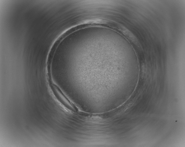 X0000068850784200605191950