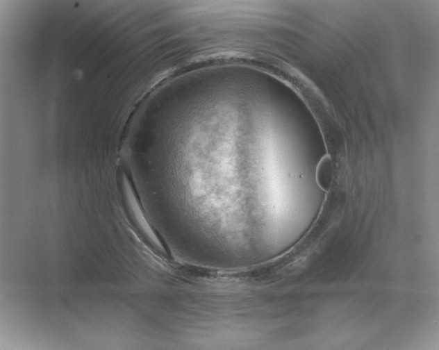 X0000068850785200605191950