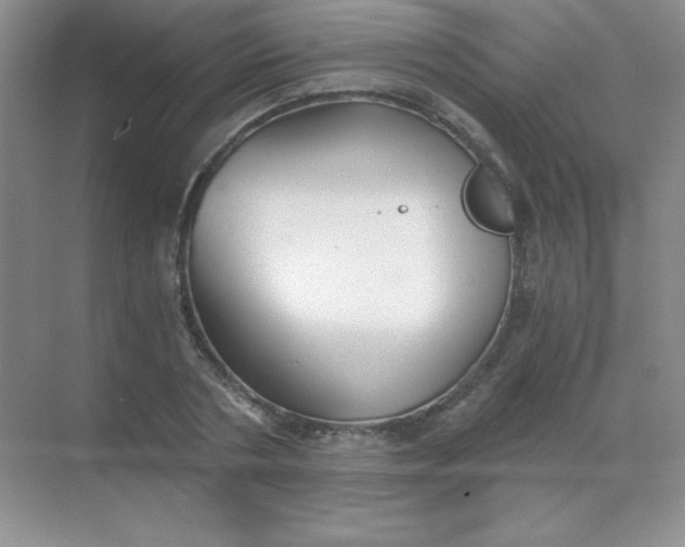 X0000068850786200605191950