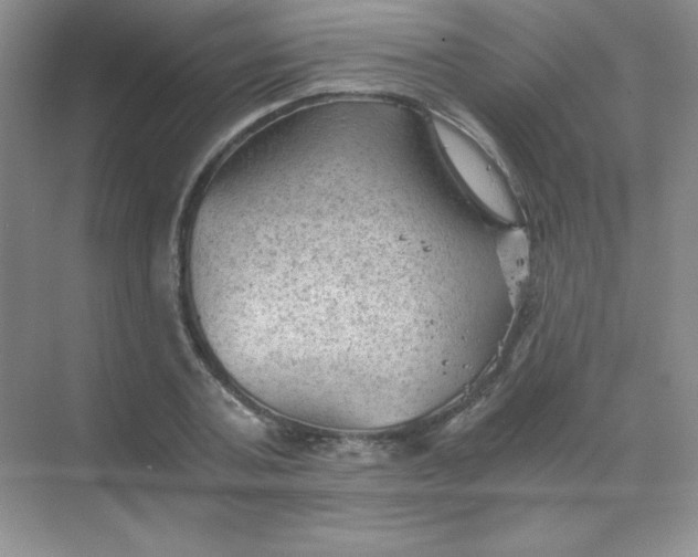 X0000068850787200605191950