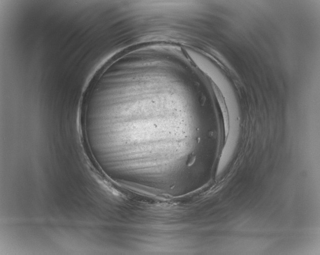 X0000068850788200605191950