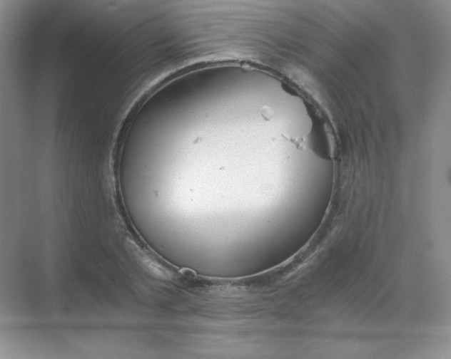 X0000068850789200605191950