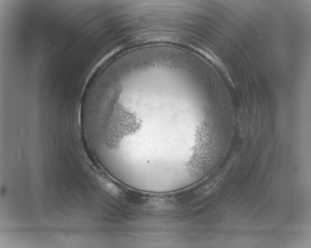 X0000068850790200605191950