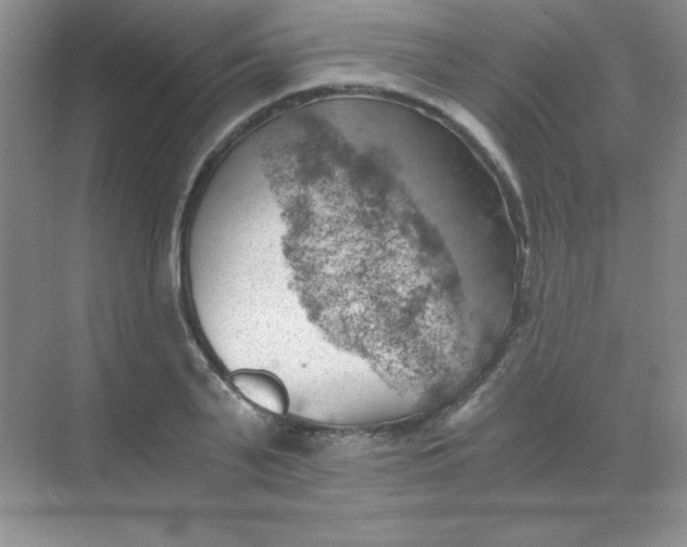 X0000068850791200605191950