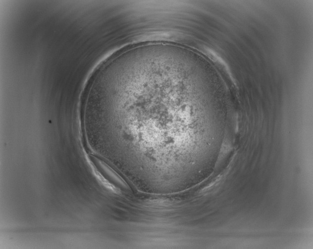 X0000068850792200605191950