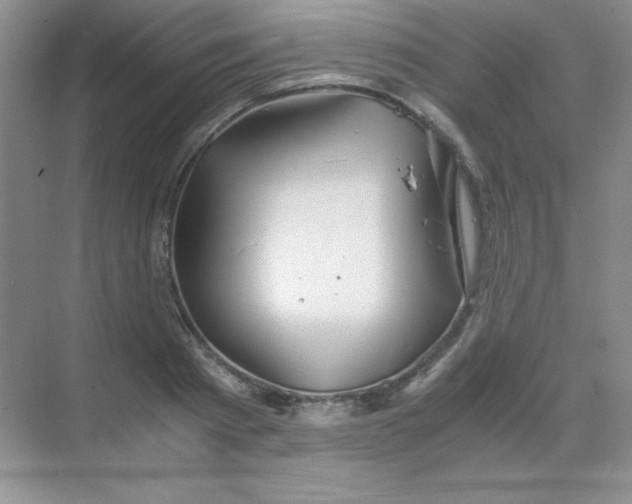 X0000068850793200605191950