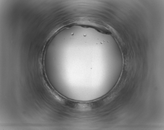 X0000068850794200605191950