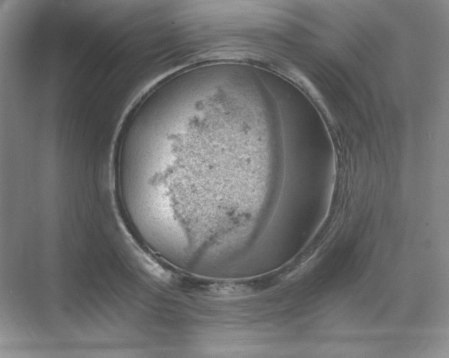 X0000068850795200605191950