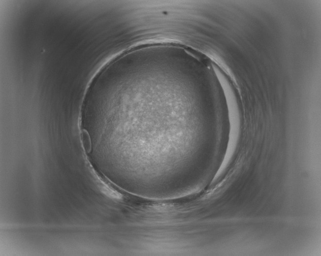 X0000068850797200605191950