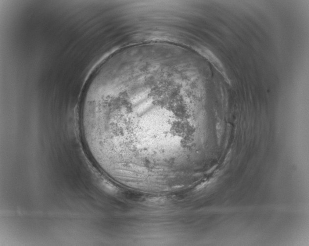 X0000068850798200605191950