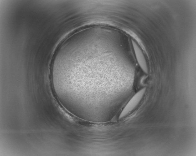 X0000068850799200605191950