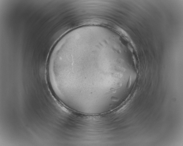 X0000068850802200605191950