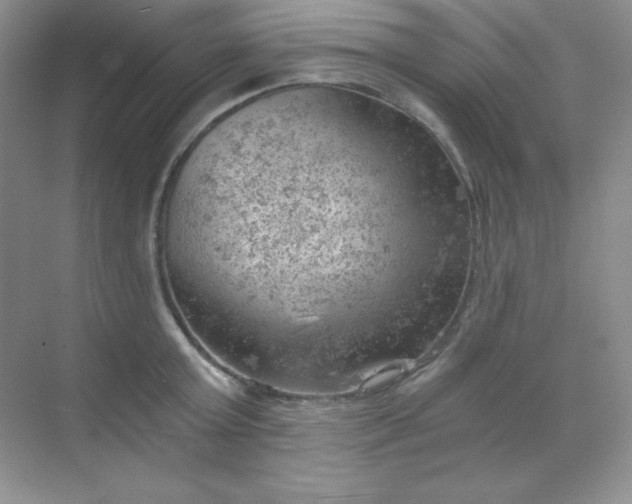 X0000068850803200605191950