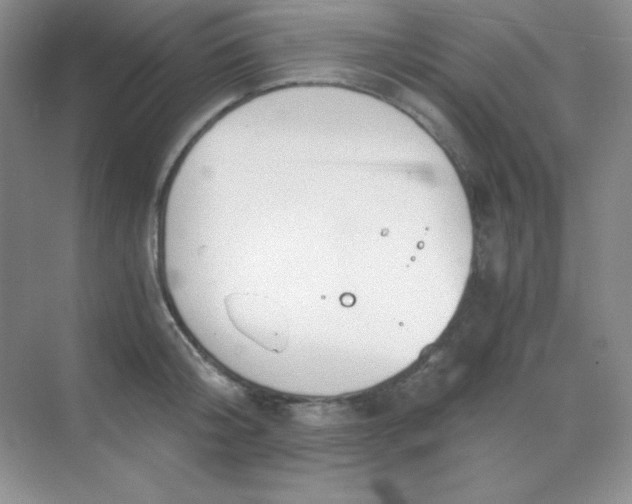 X0000068850804200605191950