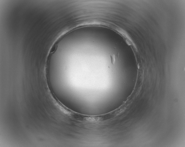 X0000068850805200605191950