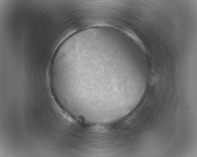 X0000068850806200605191950