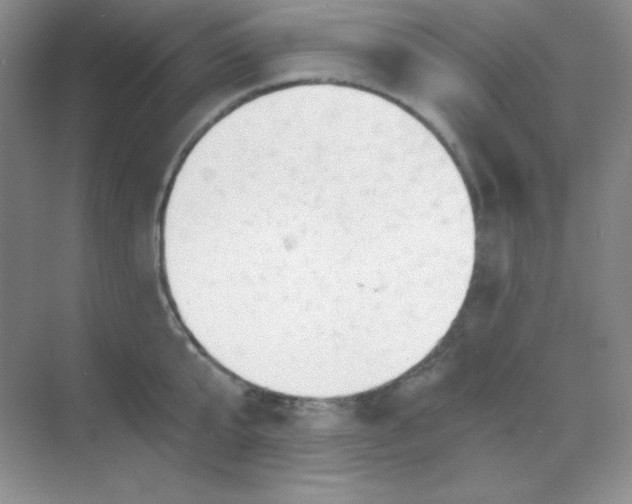 X0000068850807200605191950