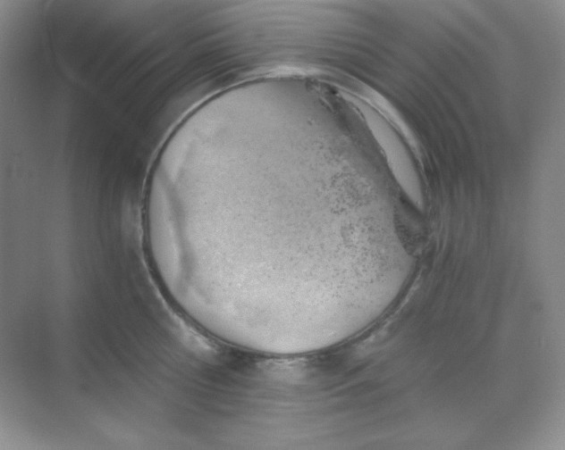 X0000068850810200605191950