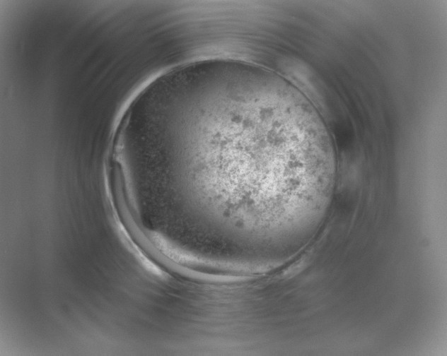 X0000068850812200605191950