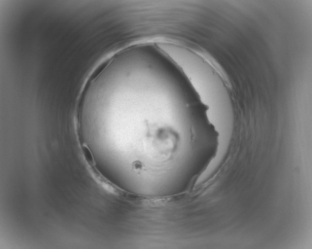 X0000068850813200605191950