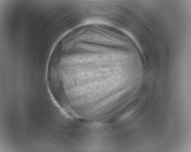 X0000068850815200605191950