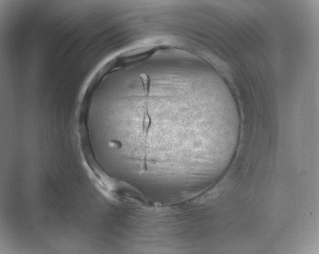 X0000068850816200605191950