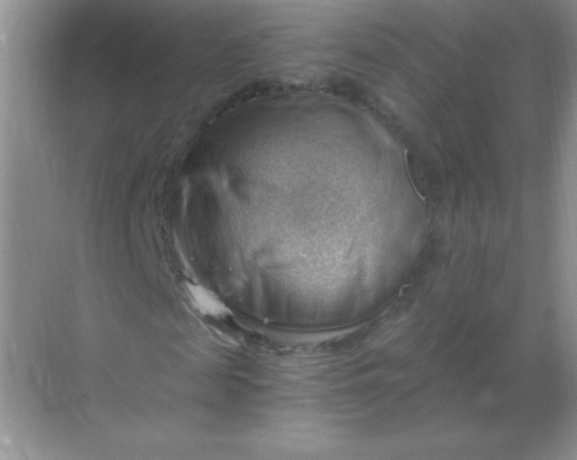 X0000068850817200605191949