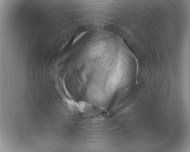 X0000068850818200605191949