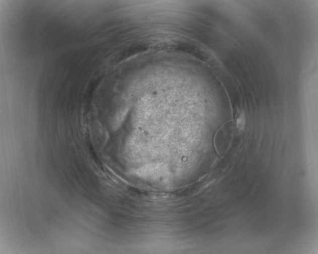 X0000068850819200605191949