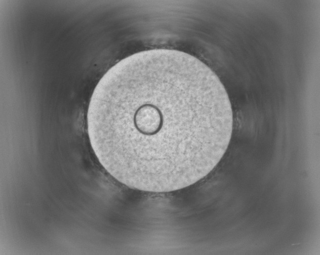 X0000068850820200605191949