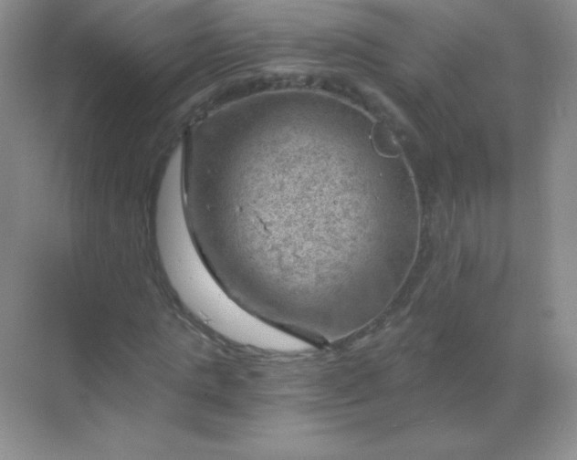 X0000068850821200605191949