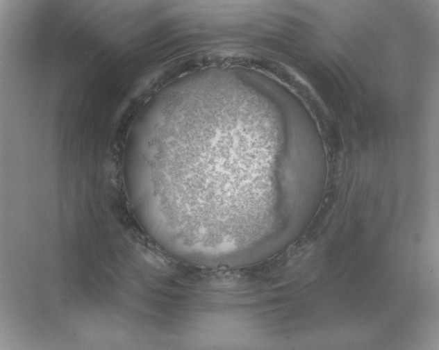 X0000068850823200605191949