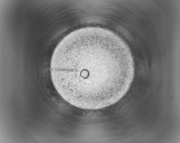 X0000068850824200605191949