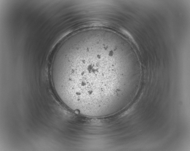 X0000068850827200605191949