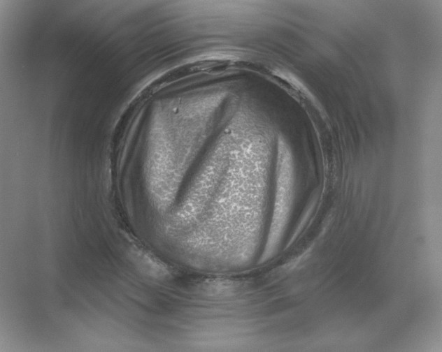 X0000068850829200605191949