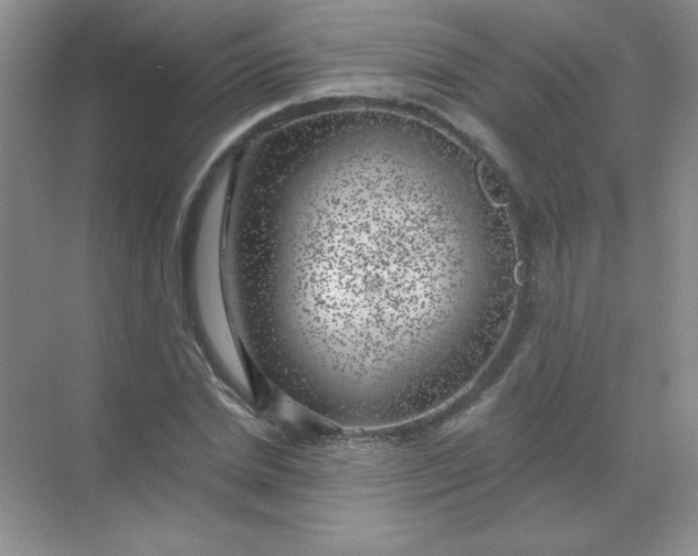 X0000068850830200605191949