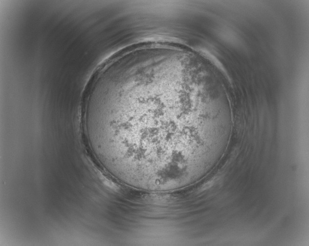 X0000068850831200605191949