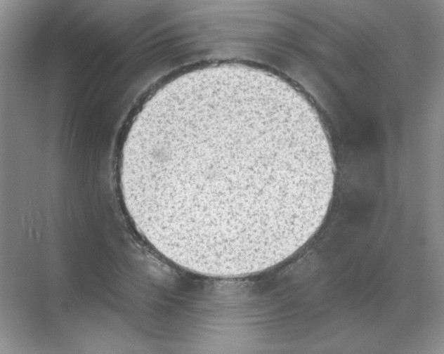 X0000068850832200605191949