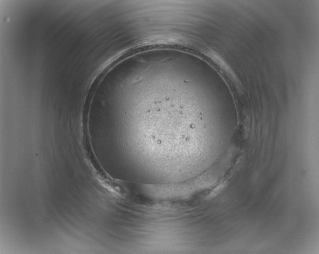 X0000068850834200605191949