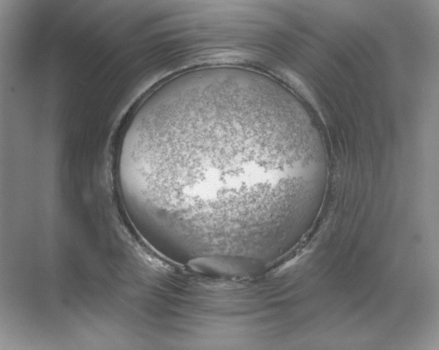 X0000068850835200605191949