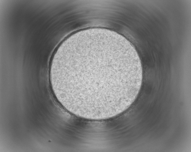 X0000068850836200605191949