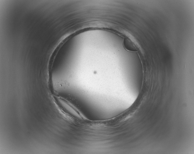 X0000068850837200605191949