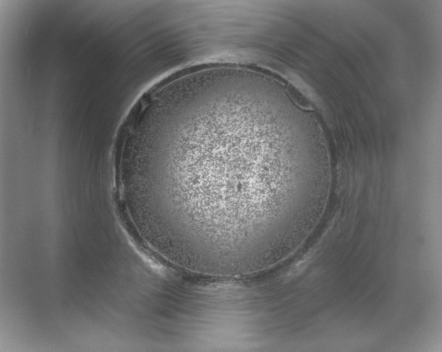 X0000068850838200605191949