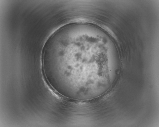 X0000068850839200605191949