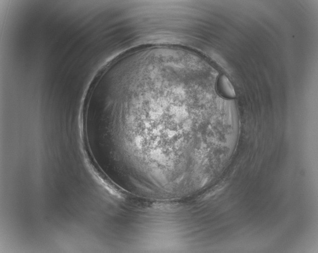 X0000068850840200605191949